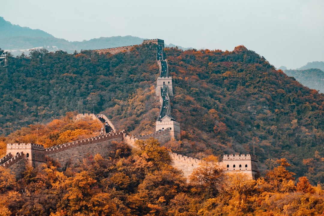 中美医疗费用对比